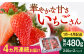 華やかでやさしい甘さの「いちごさん」を1月~4月にお届け！