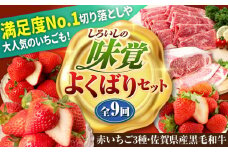 【先行予約】【全9回定期便】しろいしの味覚よくばりセット（赤いちご3種と佐賀県産黒毛和牛） [IZZ022]