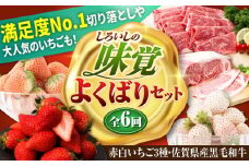 【先行予約】【全6回定期便】しろいしの味覚よくばりセット（赤白いちご3種と佐賀県産黒毛和牛） [IZZ023]