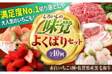 【先行予約】【全10回定期便】しろいしの味覚よくばりセット（赤白いちご4種と佐賀県産黒毛和牛） [IZZ024]