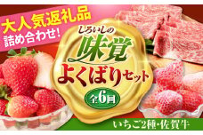 【全6回定期便】しろいしの味覚よくばりセット（いちご2種と佐賀牛） [IZZ025]