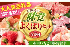 【全5回定期便】しろいしの味覚セットよくばりセット（赤白いちご3種と佐賀牛） [IZZ026]