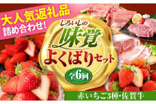 【全6回定期便】しろいしの味覚よくばりセット（赤いちご3種と佐賀牛） [IZZ027]