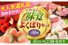 【全10回定期便】しろいしの味覚よくばりセット（赤白いちご4種と佐賀牛） [IZZ029]