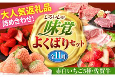 【全11回定期便】しろいしの味覚よくばりセット（赤白いちご5種と佐賀牛） [IZZ030]