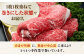 【毎週届く】【出荷数10万件突破！】圧倒的リピート率の牛肉切り落とし