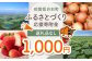 返礼品なしのふるさと納税です