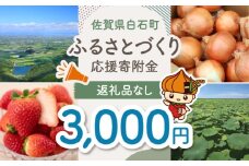 【返礼品なし】佐賀県白石町 ふるさとづくり応援寄附金（3,000円分） [IZY004]
