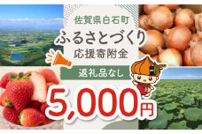 【返礼品なし】佐賀県白石町 ふるさとづくり応援寄附金（5,000円分） [IZY005]