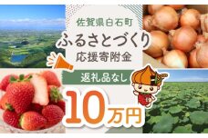 【返礼品なし】佐賀県白石町 ふるさとづくり応援寄附金（100,000円分） [IZY008]