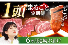 【牧場直送】【6回定期便】佐賀県産しろいし牛 1頭まるごと定期便【佐賀セントラル牧場】佐賀県産 牛肉 ステーキ 焼肉 すき焼き しゃぶしゃぶ ヒレ 赤身 霜降り 冷凍 九州 佐賀県 白石町 [IAH032]