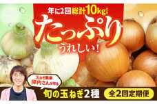 【2回定期便】農家直送 玉ねぎ定期便 5kg/回 【玉葱農家 陣内ちひろ】玉葱 たまねぎ 新玉ねぎ 晩生 九州 佐賀県 白石町 [IAO026]