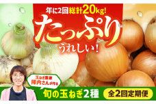 【2回定期便】農家直送 玉ねぎ定期便 10kg/回 【玉葱農家 陣内ちひろ】玉葱 たまねぎ 新玉ねぎ 晩生 九州 佐賀県 白石町 [IAO027]