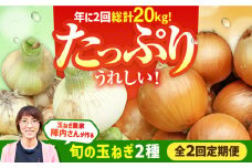 【2回定期便】農家直送 玉ねぎ定期便 10kg/回 【玉葱農家 陣内ちひろ】玉葱 たまねぎ 新玉ねぎ 晩生 九州 佐賀県 白石町 [IAO027]