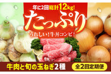 【2026年発送分先行予約！】【2回定期便】牛丼コンビ！牛肉と玉ねぎの定期便 / 切り落とし 玉葱 新玉 早生 晩生 牛丼 すき焼き [IZZ031]