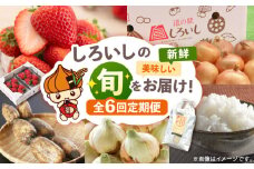 【6回定期便】【旬の農産物をお届け！】しろいし 産直定期便【道の駅しろいしカンパニー】産地直送 野菜 果物 旬 佐賀県産 白石町 九州 [IAA042]
