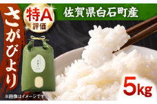 【佐賀県白石産】令和6年産 さがびより 5kg【ちわたのふぁーむ】 [IDE001]