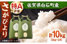 【佐賀県白石産】令和6年産 さがびより 計10kg（5kg×2袋）【ちわたのふぁーむ】 [IDE002]