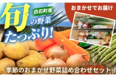 【野菜たっぷり♪】白石町産季節のおまかせ野菜詰め合わせセット【株式会社いち】 [IDD002]
