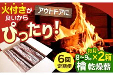 【アウトドアに最適！】 【6回定期便】佐賀県産 檜（ヒノキ）乾燥 薪（8〜9kg×2箱）【黒岩木材】 [IBU017] [IBU017]