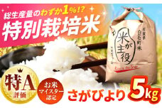 【先行予約】【令和7年産】こだわりの特別栽培米！ さがびより 5kg 【定松ファーム】佐賀県産 特A 特A評価 白米 コメ こめ お米 白米 さがびより 人気 高評価 九州 佐賀県 白石町 [IBV001]