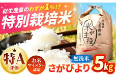【先行予約】【令和7年産】こだわりの特別栽培米！ 無洗米 さがびより 5kg 【定松ファーム】佐賀県産 特A 特A評価 白米 無洗米 コメ こめ お米 白米 さがびより 人気 高評価 九州 佐賀県 白石町 [IBV002]