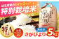 洗わずそのまま、すぐ炊飯！