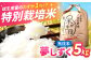 洗わずそのまま、すぐ炊飯！