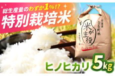 【先行予約】【令和7年産】こだわりの特別栽培米！ ヒノヒカリ 5kg 【定松ファーム】佐賀県産 白米 コメ こめ お米 白米 ひのひかり ヒノヒカリ 人気 高評価 九州 佐賀県 白石町 [IBV005]