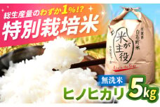 【先行予約】【令和7年産】こだわりの特別栽培！無洗米　ヒノヒカリ 5kg 【定松ファーム】佐賀県産 白米 コメ こめ お米 白米 無洗米 ひのひかり ヒノヒカリ 人気 高評価 九州 佐賀県 白石町 [IBV006]