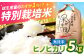 洗わずそのまま、すぐ炊飯！