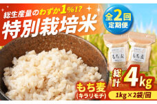 【全2回定期便】もち麦（キラリモチ）計4kg（2kg×2回） 【定松ファーム】佐賀県産 もちむぎ 人気 高評価 九州 佐賀県 白石町 [IBV008]