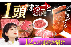 【牧場直送】【12回定期便】佐賀県産 しろいし牛 1頭まるごと 定期便【佐賀セントラル牧場】佐賀県産 九州 佐賀県 白石町 [IAH225]
