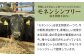 【FARM to TABLE】農場から食卓へ、牧場直送でお届け！