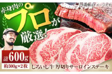 【牧場直送】佐賀県産しろいし牛 厚切りステーキ（サーロイン） 計600g（約300g×2枚）【佐賀セントラル牧場】佐賀県産 牛肉 サーロイン ステーキ すてーき さーろいん ステーキ 九州 佐賀県 白石町 [IAH037]