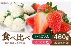 【R8年1月以降発送】こころの色＋いちごさん 1箱 【StrawberryFarm-K】 [IBJ022]