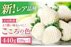 【R8年1月以降発送】【幻の白いちご】 こころの色 220g×2パック 【StrawberryFarm-K】 [IBJ010]
