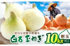 新玉ねぎ 10kg 【片渕農園】 [IDG001]