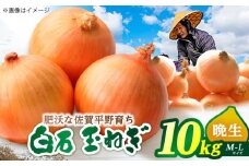 玉ねぎ 10kg 【片渕農園】 [IDG002]