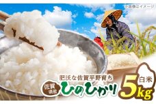 ヒノヒカリ 白米 5kg 【片渕農園】 [IDG003]