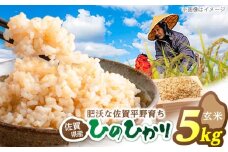 ヒノヒカリ 玄米 5kg 【片渕農園】 [IDG004]