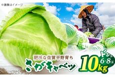 キャベツ 10kg（6-8玉） 【片渕農園】 [IDG005]