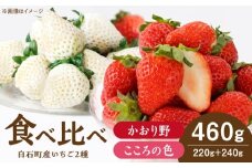 【R8年1月以降発送】こころの色×かおり野 紅白いちごセット 計460g （こころの色220g、かおり野240g）【StrawberryFarm-K】 紅白いちご 希少 いちご 果物 フルーツ かおり野 セット  [IBJ024]