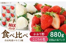 【R8年1月以降発送】こころの色×かおり野ミックス 紅白いちごセット 計880g（220g×4パック） 【Strawberryfarm-K】  紅白いちご 希少 いちご 果物 フルーツ かおり野 セット [IBJ029]