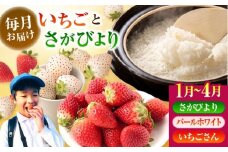 【R8年1月以降発送】【全4回定期便】いちごとお米の贅沢定期便（2） 【かわさきいちご】 [IBG020]