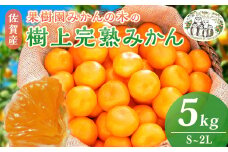 N-22 果樹園みかんの木の樹上甘熟みかん 5kg みかん ミカン 蜜柑 温州みかん 完熟みかん 甘熟 国産 佐賀県産 太良町 こだわり 贈答品 産地直送 詰め合わせ