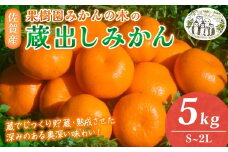 N-24 果樹園みかんの木の蔵出しみかん 5kg みかん ミカン 蜜柑 たらみかん 太良みかん 温州みかん 完熟みかん 甘熟 柑橘 国産 佐賀県産 太良町 こだわり 有機栽培 産地直送 贈答品 詰め合わせ 極甘 蔵出し 熟成