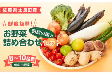 肥前の国のお野菜詰め合わせセット（8～10品目）| 野菜セット 旬 フレッシュ 鮮度抜群 8品 10品 チョイス 詰め合わせ 野菜便 国産野菜 季節の野菜（シイタケ、タマネギ、レンコン、ミニトマト、キュウリ、サツマイモなど） 野菜 野菜詰め合わせ 旬野菜 採れたて 新鮮野菜 常備菜 国産 佐賀県産 こだわり 産地直送 佐賀県 太良町 L-37
