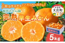 L-54 新宮みかん園 完熟早生みかん（S～L）５kgみかんミカン蜜柑温州みかんふるさと納税有明海柑橘甘い果物フルーツ新宮みかん園佐賀県太良町L54［L54］