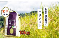O-52 佐賀県産 特別栽培米 さがびより 10kg 玄米 令和6年 新米 お米 米 おこめ 人気 おすすめ 佐賀県 太良町